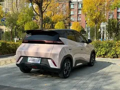 2025 BYD Seagull EV 405km Flying — фото 4