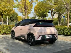 2025 BYD Seagull EV 405km Flying — фото 8