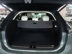 2022 Nio ES7 100kWh Launch Edition, зелёный — фото 19
