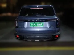 2021 Haval Dargo 2.0T DCT 4WD — фото 5