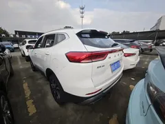 2022 Haval H6 3rd Gen 1.5T AT 2WD Pro, белый — фото 14