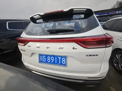 2022 Haval H6 3rd Gen 1.5T AT 2WD Pro, белый — фото 15
