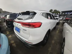 2022 Haval H6 3rd Gen 1.5T AT 2WD Pro, белый — фото 16
