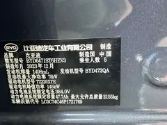 2023 BYD Song Pro DM-i PHEV 110KM Champion — фото 10