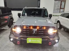 2021 Tank 300 Off-road 2.0T Conqueror — фото 3