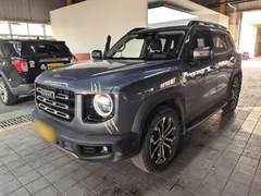 2021 Haval Dargo 1.5T DCT 2WD Wangcai — фото 2