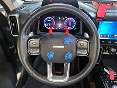 2021 Haval Dargo 1.5T DCT 2WD Wangcai — фото 11
