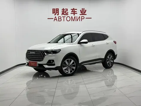 2023 Haval H6 1.5T AT Guochao Champion