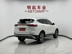 2023 Haval H6 1.5T AT Guochao Champion, белый — фото 8