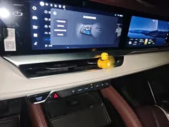 2021 Geely Monjaro 2.0TD High Power AT 4WD Flagship — фото 14