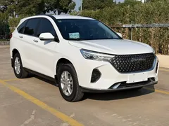 2023 Haval M6 Plus 1.5T DCT Elite, белый — фото 3