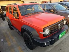 2021 Tank 300 Off-road 2.0T Conqueror — фото 4