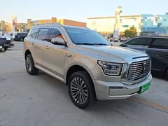 2022 Tank 500 3.0T Business 5-seat — фото 4