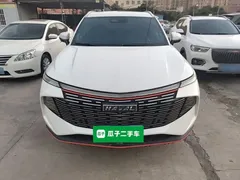2022 Haval Shenshou 1.5T, белый — фото 3