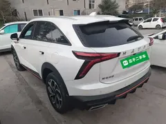 2022 Haval Shenshou 1.5T, белый — фото 5