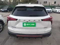 2022 Haval Shenshou 1.5T, белый — фото 6