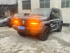 2023 Tank 300 Off-road 2.0T Challenger, чёрный — фото 3