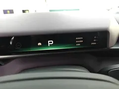 2025 Xpeng P7 750 4WD High Performance Ultra — фото 12