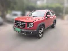 2021 Haval Dargo 1.5T DCT 2WD Border Collie — фото 1