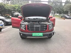 2021 Haval Dargo 1.5T DCT 2WD Border Collie — фото 11