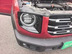 2021 Haval Dargo 1.5T DCT 2WD Border Collie — фото 19