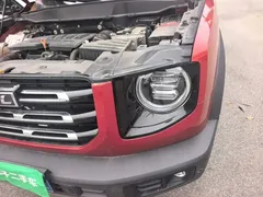 2021 Haval Dargo 1.5T DCT 2WD Border Collie — фото 20