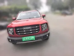 2021 Haval Dargo 1.5T DCT 2WD Border Collie — фото 23