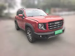 2021 Haval Dargo 1.5T DCT 2WD Border Collie — фото 24