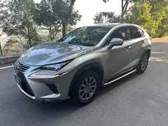 2020 Lexus NX 200 2WD Fengxing China VI — фото 1