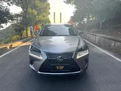 2020 Lexus NX 200 2WD Fengxing China VI — фото 2