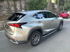 2020 Lexus NX 200 2WD Fengxing China VI — фото 8