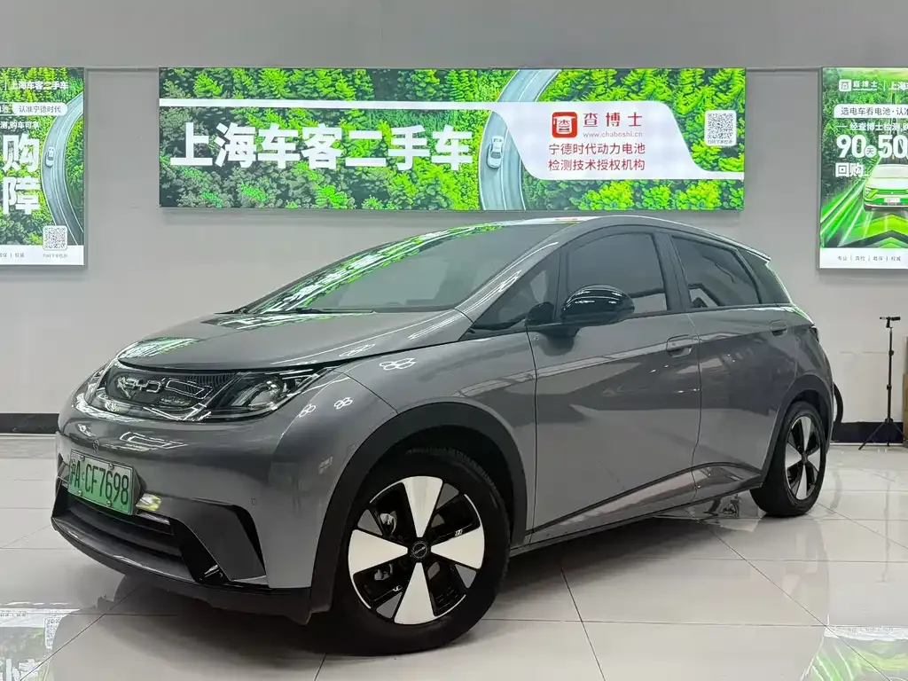 2023 BYD Dolphin 420km Fashion
