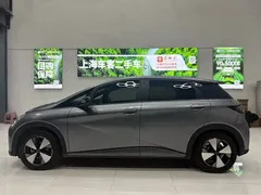 2023 BYD Dolphin 420km Fashion — фото 10