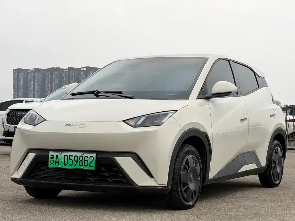 2024 BYD Seagull Honor 305km Vitality