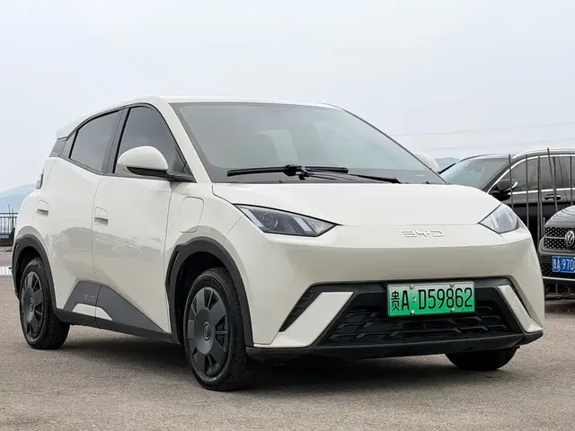 2024 BYD Seagull Honor 305km Vitality