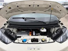 2024 BYD Seagull Honor 305km Vitality — фото 14