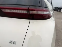 2024 BYD Seagull Honor 305km Vitality — фото 18