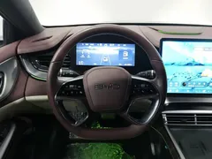 2025 BYD Seal 07 1.5L PHEV 125km Luxury — фото 11