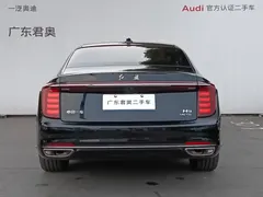 2025 Hongqi H9 2.0T 2WD Luxury Business 5-seat, чёрный — фото 6