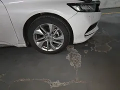 2018 Honda Accord 260TURBO Elite, белый — фото 24