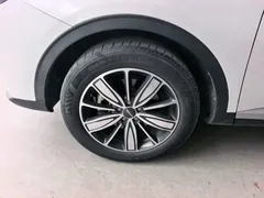 2021 Haval H6 1.5T AT Champion, белый — фото 23