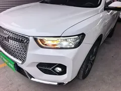2021 Haval H6 1.5T AT Champion, белый — фото 24