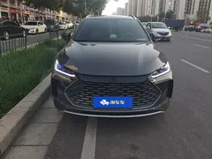 2024 BYD Tang DM-i PHEV Honor 112km Premium — фото 2