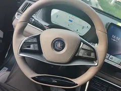 2024 BYD Tang DM-i PHEV Honor 112km Premium — фото 15