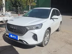 2023 Haval M6 Plus 1.5T DCT Elite, белый — фото 1