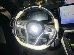 2024 BYD Qin PLUS DM-i PHEV 55km Honor Excellence, чёрный — фото 15