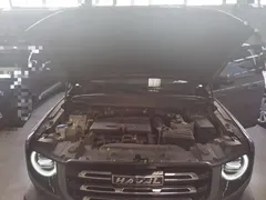 2021 Haval Dargo 1.5T DCT 2WD — фото 20