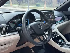 2021 BYD Song PLUS DM-i PHEV 110km Flagship, белый — фото 5