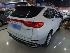 2021 Haval M6 Plus 1.5T DCT Luxury, белый — фото 7