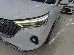 2021 Haval M6 Plus 1.5T DCT Luxury, белый — фото 24